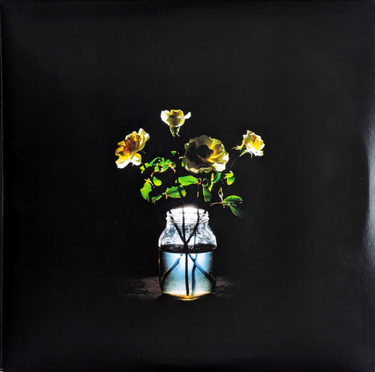 Billy Strings : Renewal (2xLP, Album)