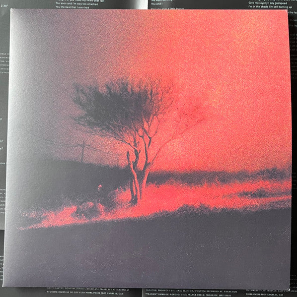 Joji : Piss In The Wind (LP, Album)