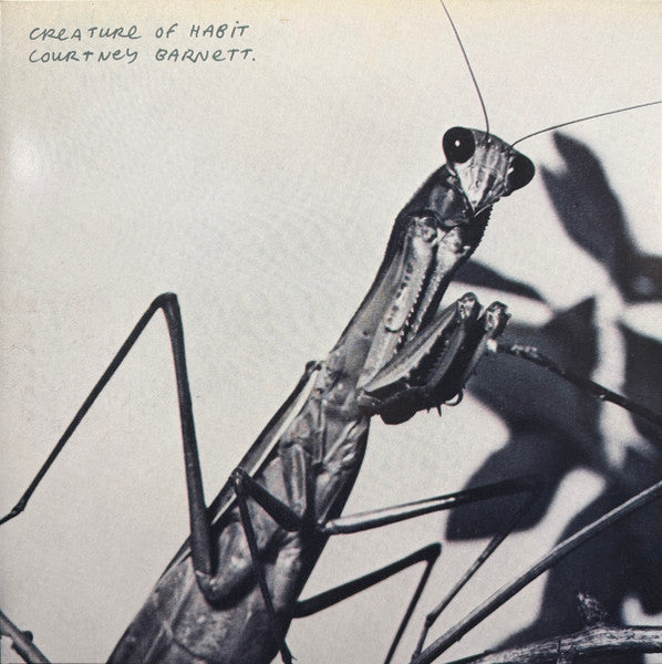 Courtney Barnett : Creature Of Habit (LP, Album, Ano)