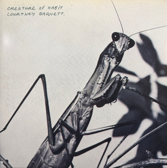 Courtney Barnett : Creature Of Habit (LP, Album, Ano)