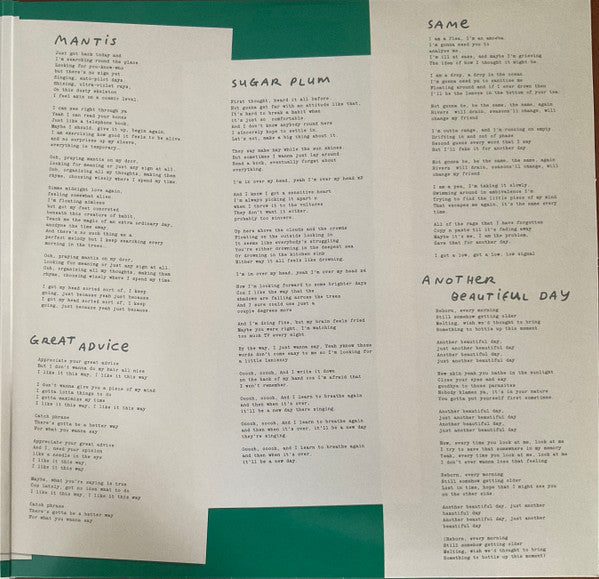 Courtney Barnett : Creature Of Habit (LP, Album, Ano)